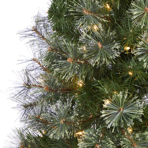 T1444 Holiday/Christmas/Christmas Trees