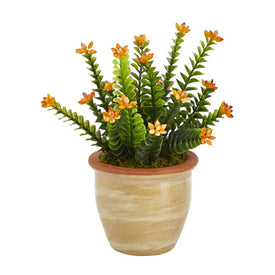 10" Flowering Sedum Succulent Artificial Plant in Ceramic Planter