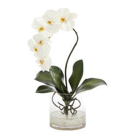 17" Phalaenopsis Orchid Artificial Arrangement in Glass Vase