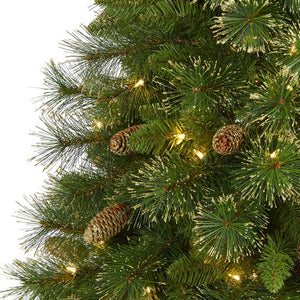 T1972 Holiday/Christmas/Christmas Trees