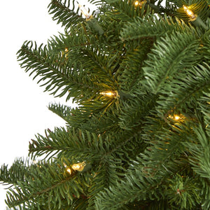 T1879 Holiday/Christmas/Christmas Trees