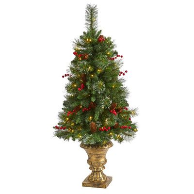 Product Image: T1693 Holiday/Christmas/Christmas Trees