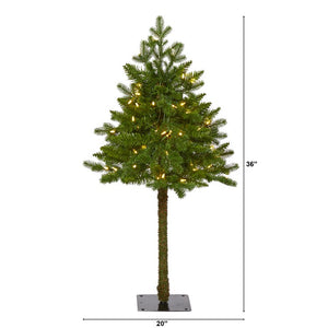T1569 Holiday/Christmas/Christmas Trees