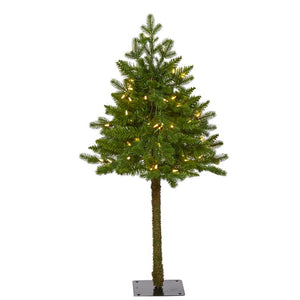 T1569 Holiday/Christmas/Christmas Trees