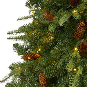 T1662 Holiday/Christmas/Christmas Trees