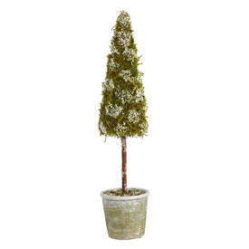 2' Flocked Moss Artificial Cone Tree in Decorative Planter