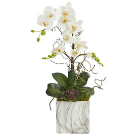 24" Phalaenopsis Orchid and Echeveria Succulent Artificial Arrangement in Marble Finished Vase