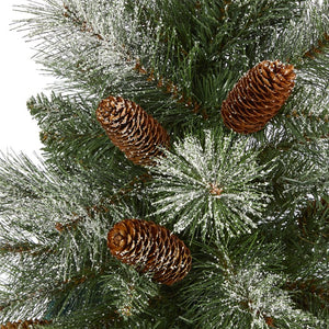 T2004 Holiday/Christmas/Christmas Trees