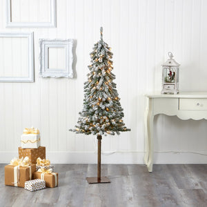 T1849 Holiday/Christmas/Christmas Trees