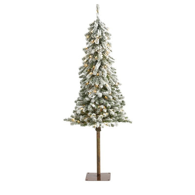 Product Image: T1849 Holiday/Christmas/Christmas Trees