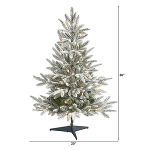 T1973 Holiday/Christmas/Christmas Trees