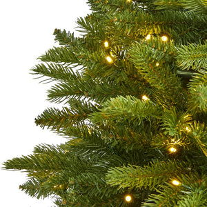 T1663 Holiday/Christmas/Christmas Trees