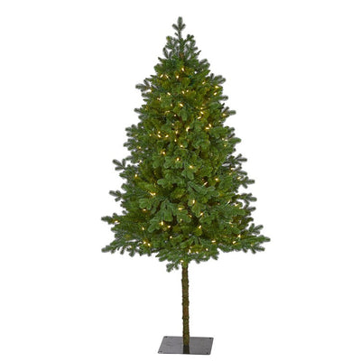 Product Image: T1570 Holiday/Christmas/Christmas Trees