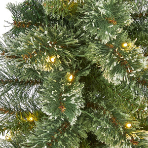 T1632 Holiday/Christmas/Christmas Trees