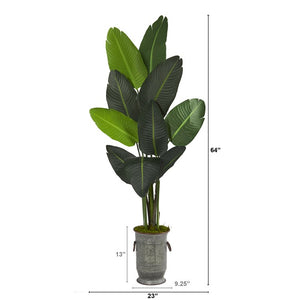 T1322 Decor/Faux Florals/Plants & Trees