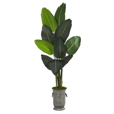 Product Image: T1322 Decor/Faux Florals/Plants & Trees