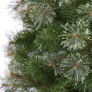 T1446 Holiday/Christmas/Christmas Trees