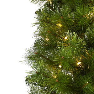 T1477 Holiday/Christmas/Christmas Trees