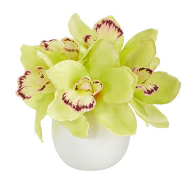 8" Cymbidium Orchid Artificial Arrangement in White Vase