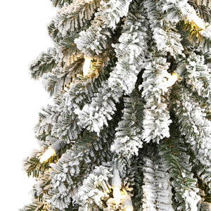 T2036 Holiday/Christmas/Christmas Trees