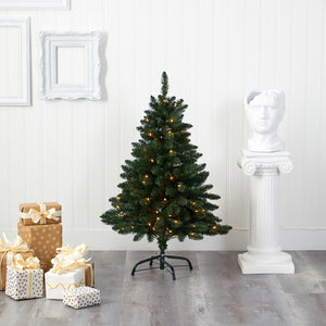 T1912 Holiday/Christmas/Christmas Trees
