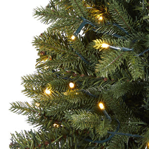 T1788 Holiday/Christmas/Christmas Trees