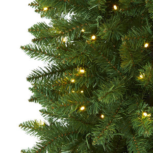 T1602 Holiday/Christmas/Christmas Trees