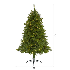 T1664 Holiday/Christmas/Christmas Trees