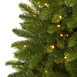 T1664 Holiday/Christmas/Christmas Trees