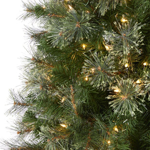 T1447 Holiday/Christmas/Christmas Trees