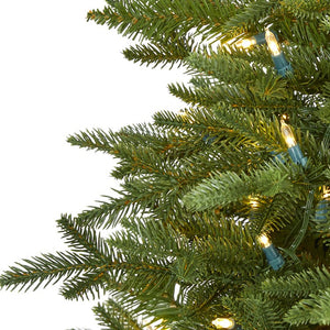 T1478 Holiday/Christmas/Christmas Trees