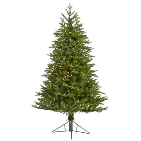 5' Cambridge Fir Artificial Christmas Tree with 300 Clear Warm (Multifunction LED Lights with Instant Connect Technology and 570 Bendable Branches