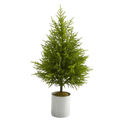 Product Image: T1509 Holiday/Christmas/Christmas Trees