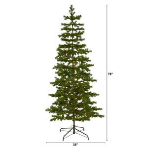 T1571 Holiday/Christmas/Christmas Trees
