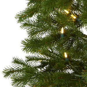 T1571 Holiday/Christmas/Christmas Trees