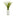 19" Grass Artificial Plant in White Planter