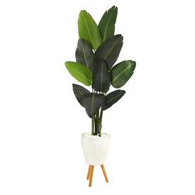 6' Traveler's Palm Artificial tree in White Planter with Stand