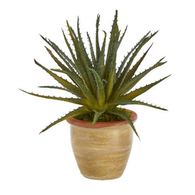 11" Aloe Artificial Plant in Ceramic Planter