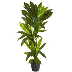 3' Dracaena Artificial Plant (Real Touch