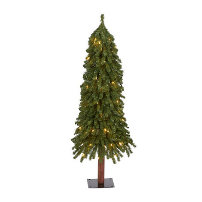 Product Image: T1944 Holiday/Christmas/Christmas Trees