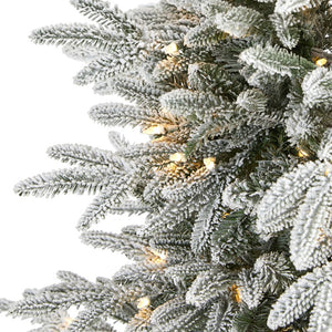 T1975 Holiday/Christmas/Christmas Trees