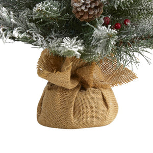 T2006 Holiday/Christmas/Christmas Trees