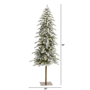 T1851 Holiday/Christmas/Christmas Trees