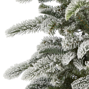 T1851 Holiday/Christmas/Christmas Trees