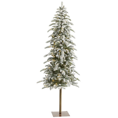 Product Image: T1851 Holiday/Christmas/Christmas Trees