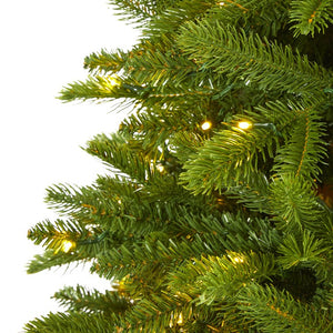 T1665 Holiday/Christmas/Christmas Trees