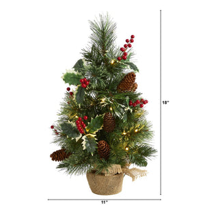 T1696 Holiday/Christmas/Christmas Trees