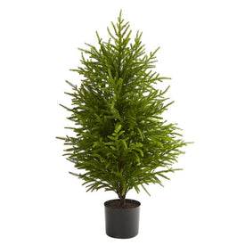 40" Norfolk Island Pine Natural Look Artificial Tree