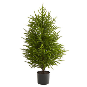 T1510 Holiday/Christmas/Christmas Trees