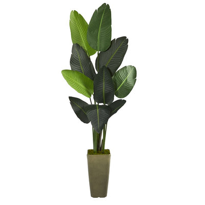 Product Image: T1324 Decor/Faux Florals/Plants & Trees